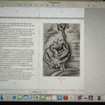The novel on screen
